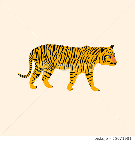 Cute tiger vector illustration. Cartoon animal... - Stock Illustration  [55071981] - PIXTA
