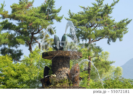 風景 自然 韓国 55072181