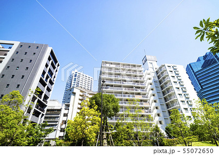 緑とマンションのある都市風景 55072650
