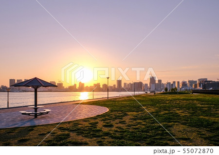 豊洲ぐるり公園の風景 （夕景） 55072870