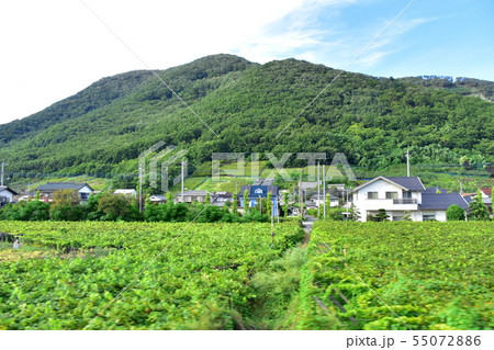 中央本線の沿線風景 中央本線の沿線風景 55072886