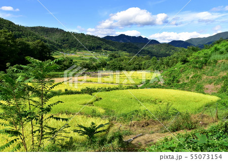 昇仙峡グリーンラインの風景 55073154