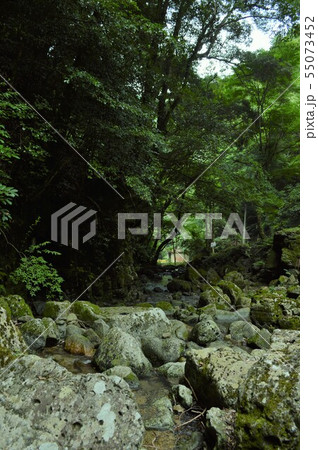 徳仙の滝　渓流 55073452