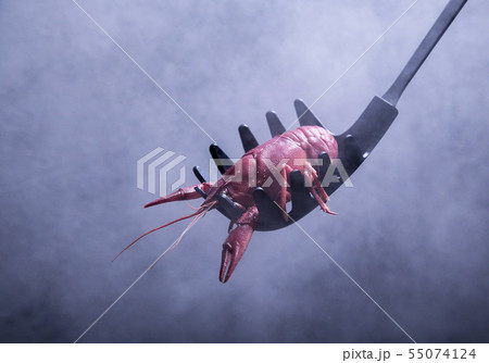 boiled red crayfish in skimmer at the background of water vapor 55074124