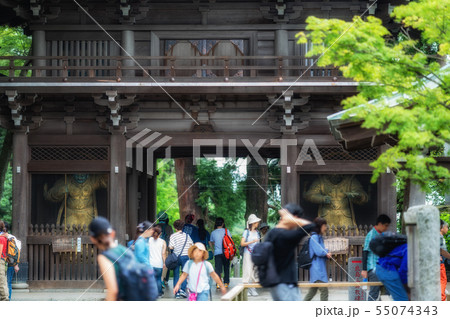 東京 高尾山 高尾山薬王院 山門 東京 高尾山 高尾山薬王院 山門 55074343