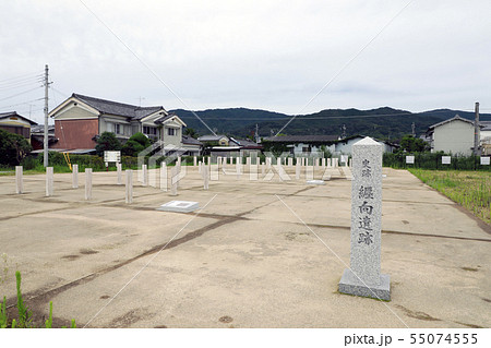 纒向遺跡 55074555