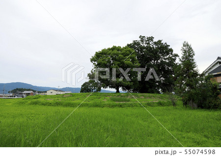 纒向石塚古墳 纒向石塚古墳 55074598