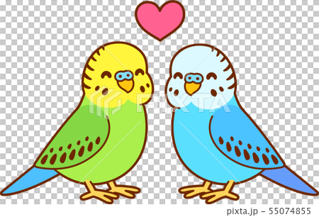 Cute cartoon budgie couple 55074855