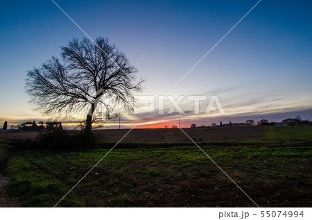 イタリア　トスカーナ州　モンタルチーノ郊外の夕焼け 55074994