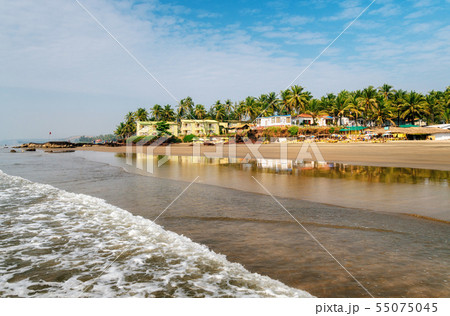 Guesthouses on beach of Arabian Sea in Ashvem, Goa 55075045