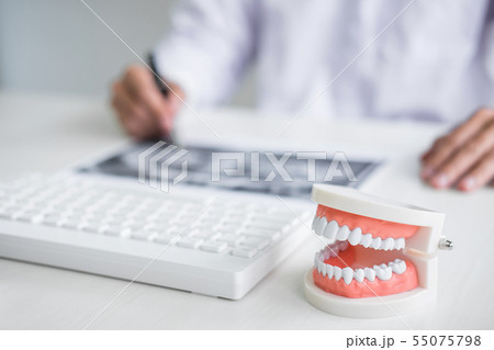 Male doctor or dentist writing report working with Male doctor or dentist writing report working with 55075798