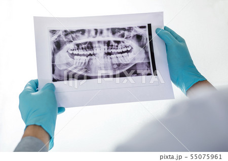 Image of male doctor or dentist holding and 55075961