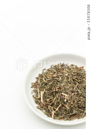 ヒメスイバ(シープソレル): Sheep Sorrel ヒメスイバ(シープソレル): Sheep Sorrel 55078306