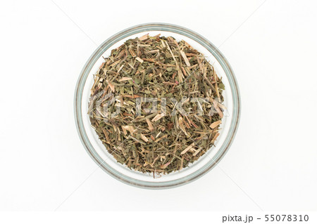 ヒメスイバ（シープソレル）: Sheep Sorrel 55078310