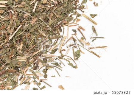 ヒメスイバ（シープソレル）: Sheep Sorrel 55078322