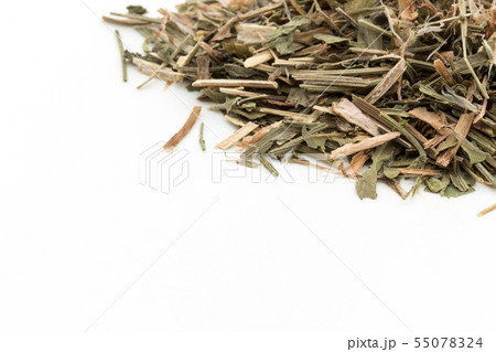 ヒメスイバ（シープソレル）: Sheep Sorrel 55078324