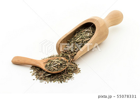 ヒメスイバ(シープソレル): Sheep Sorrel ヒメスイバ(シープソレル): Sheep Sorrel 55078331