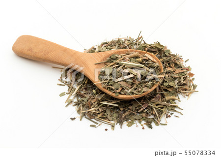 ヒメスイバ(シープソレル): Sheep Sorrel ヒメスイバ(シープソレル): Sheep Sorrel 55078334