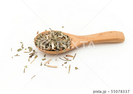 ヒメスイバ（シープソレル）: Sheep Sorrel 55078337