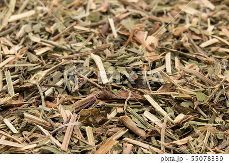 ヒメスイバ(シープソレル): Sheep Sorrel ヒメスイバ(シープソレル): Sheep Sorrel 55078339