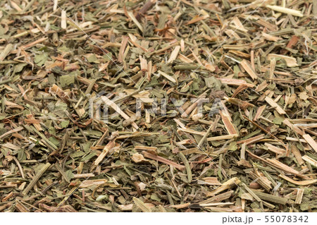 ヒメスイバ（シープソレル）: Sheep Sorrel 55078342