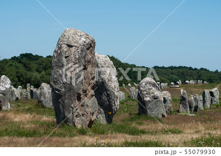 view of famous megalith alignment in Carnac view of famous megalith alignment in Carnac 55079930