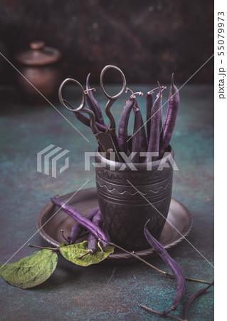 Purple bean pods and scissors Purple bean pods and scissors 55079973