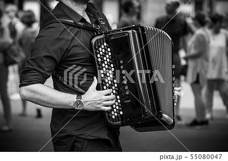 closeup of hands of accordionist playing accordion 55080047