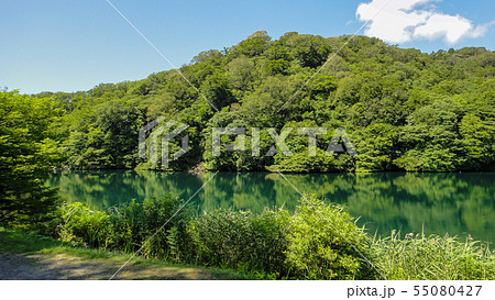 十二湖 白神山地 青森県 十二湖 白神山地 青森県 55080427