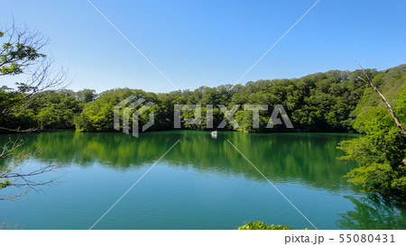 十二湖　白神山地　青森県 55080431