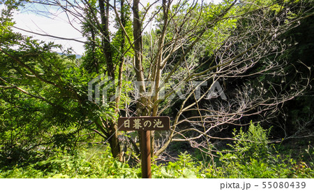 十二湖　白神山地　青森県 55080439