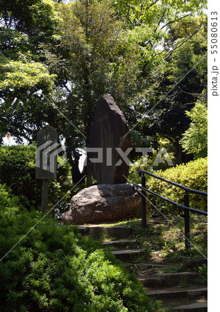 新緑の中の石碑 55080613