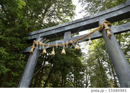 諏訪大社 表参道の鳥居 諏訪大社 表参道の鳥居 55080985