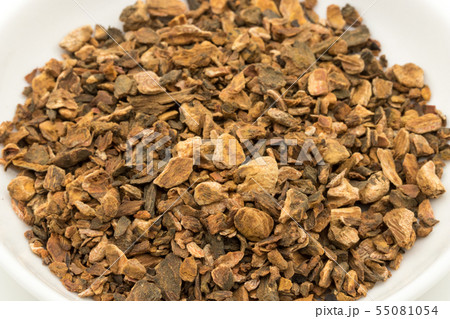 ターキールバーブルート（大黄の根）：Turkey Rhubarb Root 55081054