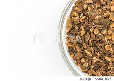 ターキールバーブルート（大黄の根）：Turkey Rhubarb Root 55081057