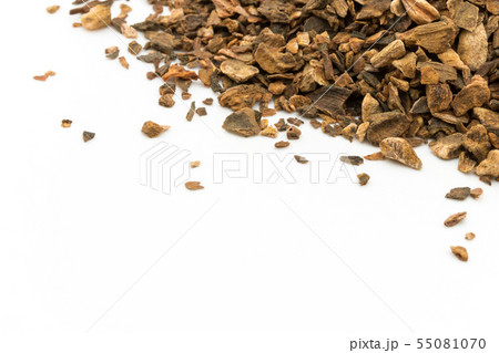 ターキールバーブルート（大黄の根）：Turkey Rhubarb Root 55081070