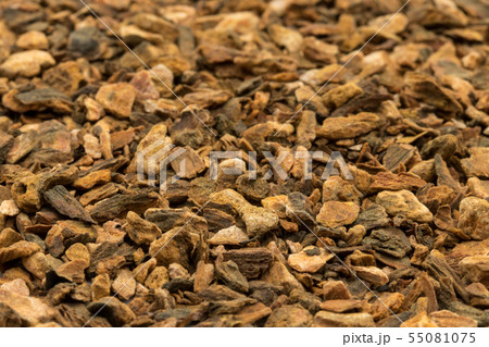 ターキールバーブルート（大黄の根）：Turkey Rhubarb Root 55081075