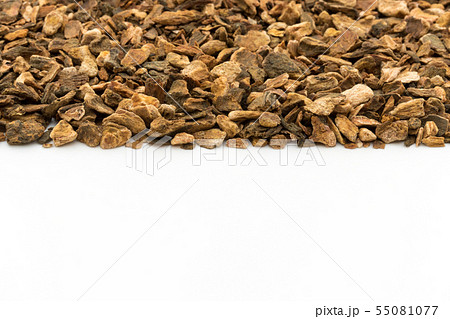 ターキールバーブルート（大黄の根）：Turkey Rhubarb Root 55081077