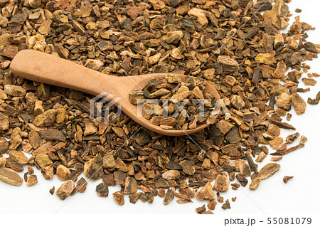 ターキールバーブルート（大黄の根）：Turkey Rhubarb Root 55081079