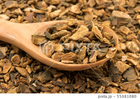 ターキールバーブルート(大黄の根):Turkey Rhubarb Root ターキールバーブルート(大黄の根):Turkey Rhubarb Root 55081080