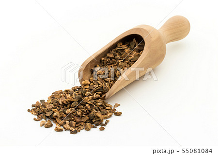 ターキールバーブルート(大黄の根):Turkey Rhubarb Root ターキールバーブルート(大黄の根):Turkey Rhubarb Root 55081084