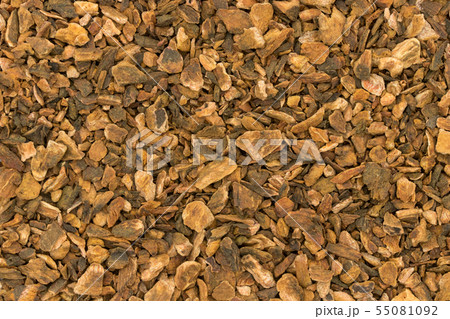 ターキールバーブルート(大黄の根):Turkey Rhubarb Root ターキールバーブルート(大黄の根):Turkey Rhubarb Root 55081092