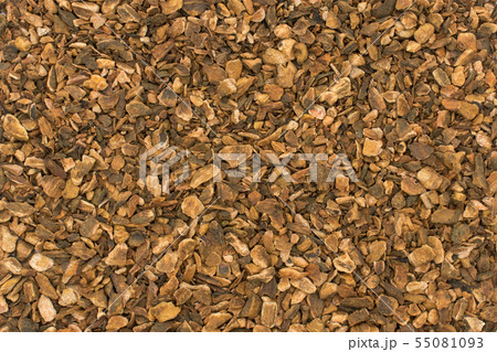 ターキールバーブルート（大黄の根）：Turkey Rhubarb Root 55081093