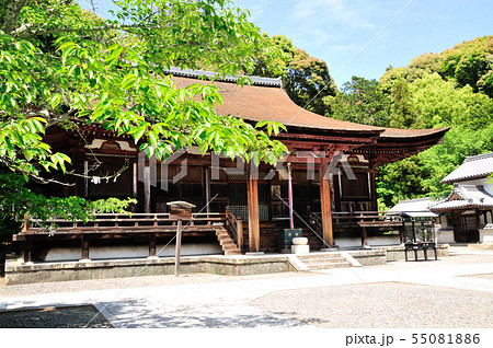 真弓山長弓寺　本堂 55081886