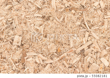 スリッパリーエルムバーク：Slippery Elm Bark 55082181
