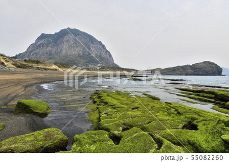 山房山 西帰浦市 済州島 55082260