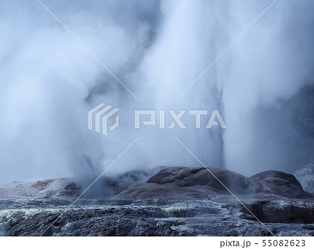 ロトルア・テプイア ポフツ間欠泉 Pohutu Geyser, Te Puia, Rotorua 55082623
