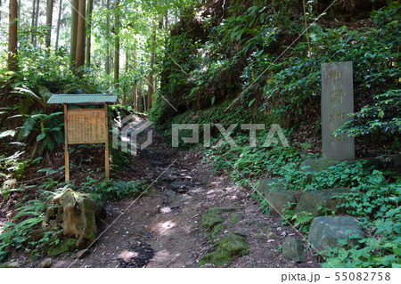 朝比奈切通 朝比奈切通 55082758