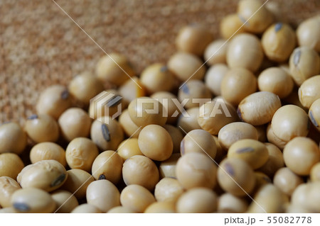 Close-up of soybean, dried soybeans Close-up of soybean, dried soybeans 55082778
