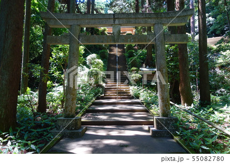 熊野神社 熊野神社 55082780